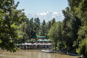 img_1601